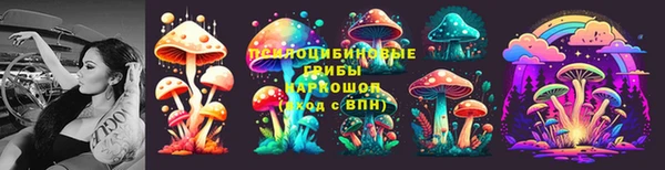 мет Белокуриха
